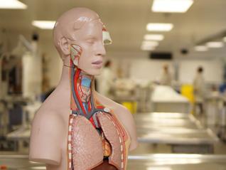 Photo of anatomical sciences laboratory
